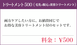 トリートメント500（根元のトリートメント）