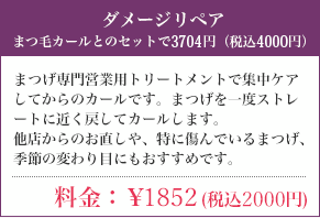 ダメージリペア